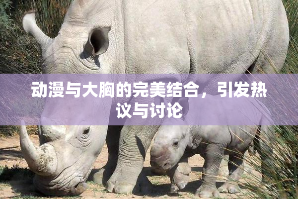 动漫与大胸的完美结合，引发热议与讨论
