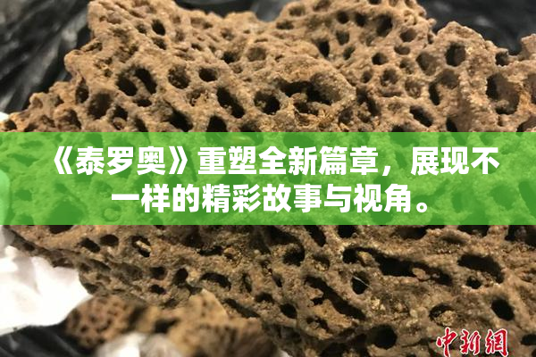 《泰罗奥》重塑全新篇章，展现不一样的精彩故事与视角。