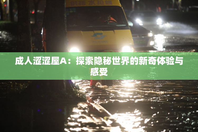 成人涩涩屋A：探索隐秘世界的新奇体验与感受