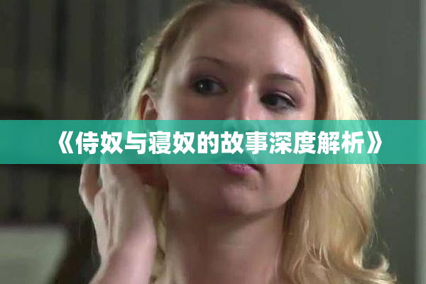 《侍奴与寝奴的故事深度解析》