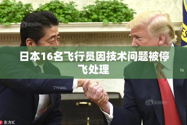 日本16名飞行员因技术问题被停飞处理