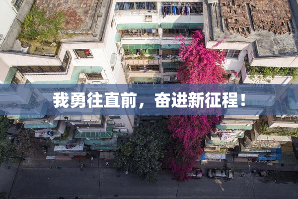 我勇往直前，奋进新征程！
