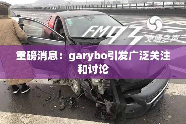 重磅消息：garybo引发广泛关注和讨论