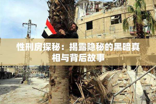 性刑房探秘：揭露隐秘的黑暗真相与背后故事