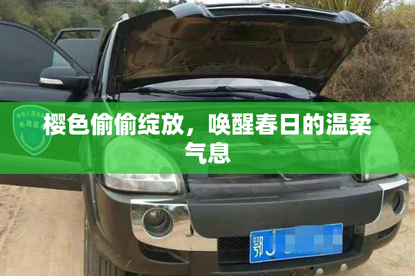 樱色偷偷绽放，唤醒春日的温柔气息