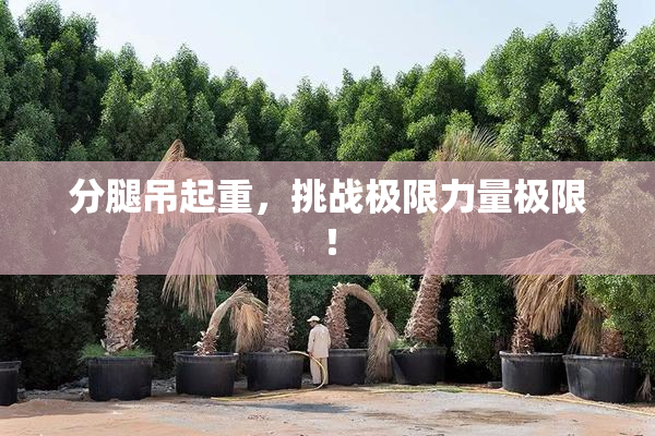 分腿吊起重，挑战极限力量极限！