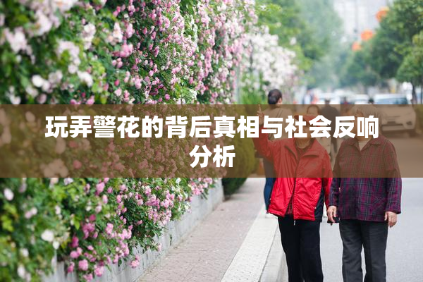 玩弄警花的背后真相与社会反响分析