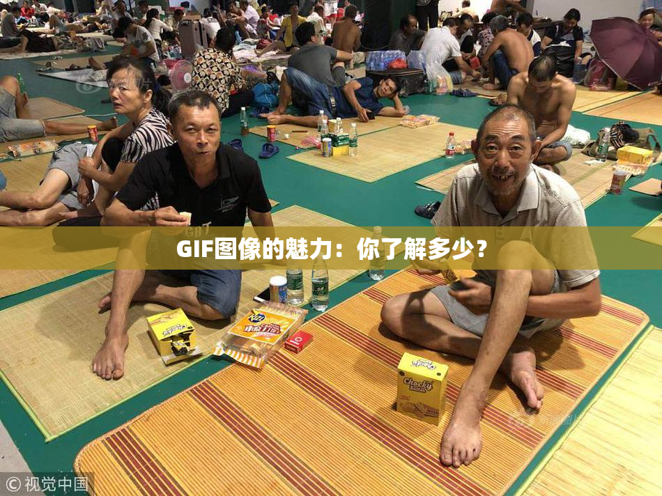 GIF图像的魅力：你了解多少？