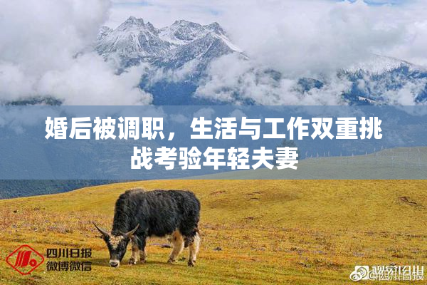 婚后被调职，生活与工作双重挑战考验年轻夫妻