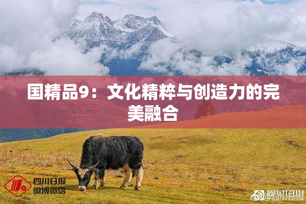 国精品9：文化精粹与创造力的完美融合