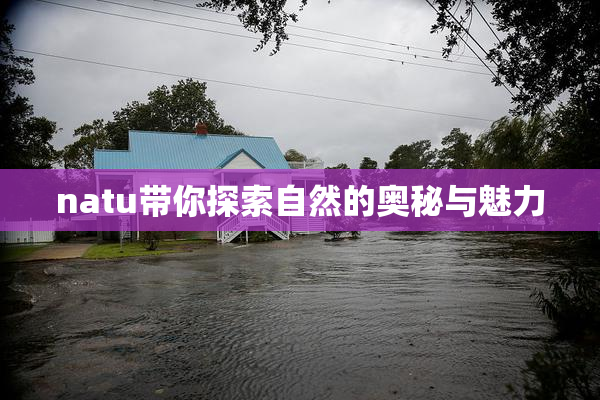natu带你探索自然的奥秘与魅力