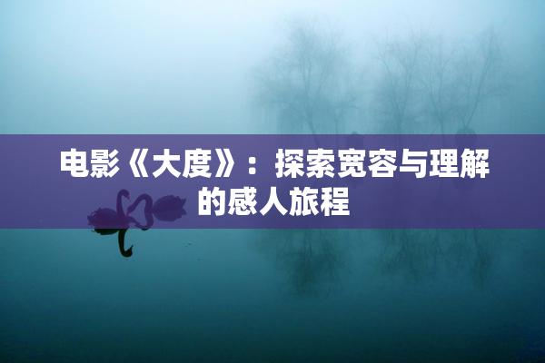 电影《大度》：探索宽容与理解的感人旅程