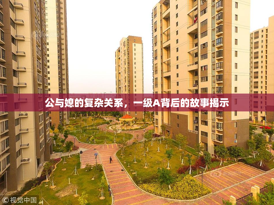 公与媳的复杂关系，一级A背后的故事揭示
