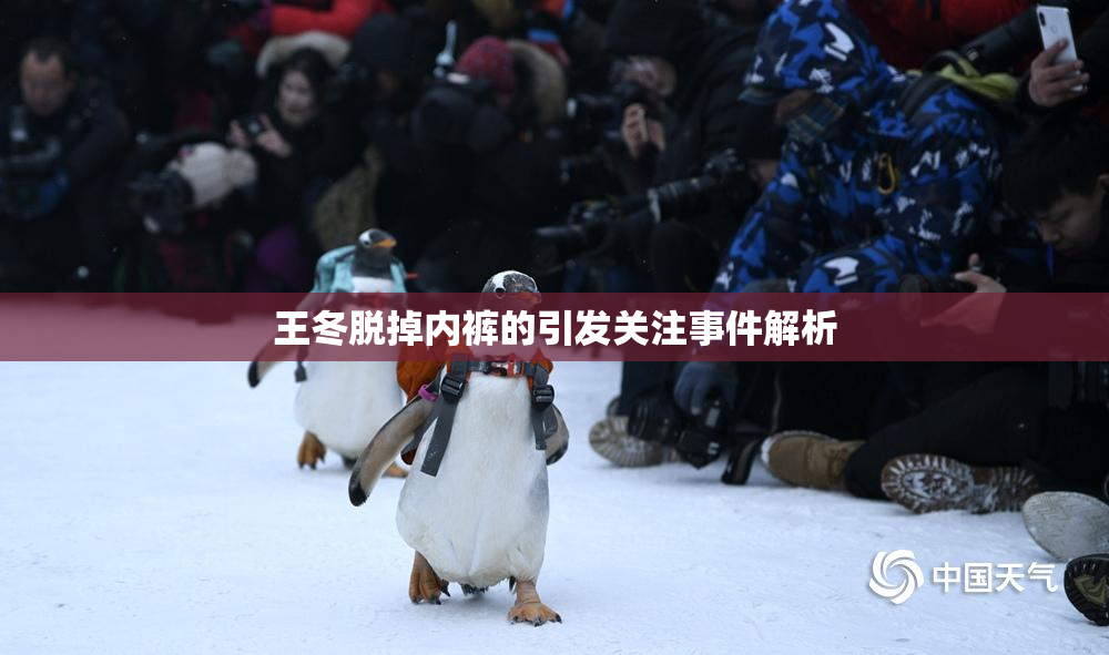 王冬脱掉内裤的引发关注事件解析