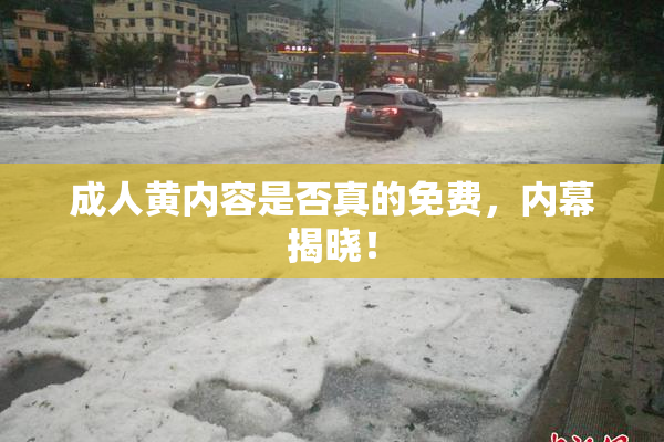 成人黄内容是否真的免费，内幕揭晓！