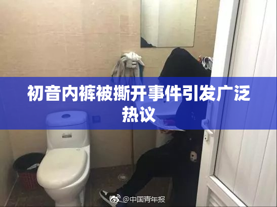 初音内裤被撕开事件引发广泛热议