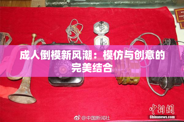 成人倒模新风潮：模仿与创意的完美结合