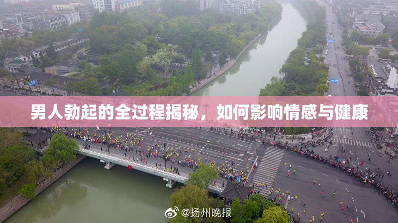 男人勃起的全过程揭秘，如何影响情感与健康