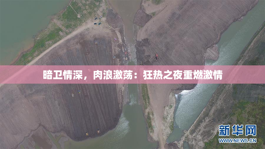 暗卫情深，肉浪激荡：狂热之夜重燃激情