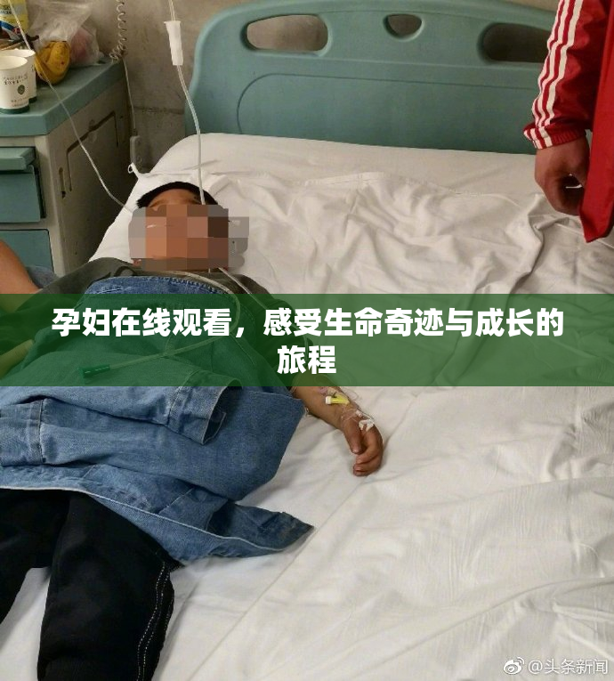 孕妇在线观看，感受生命奇迹与成长的旅程
