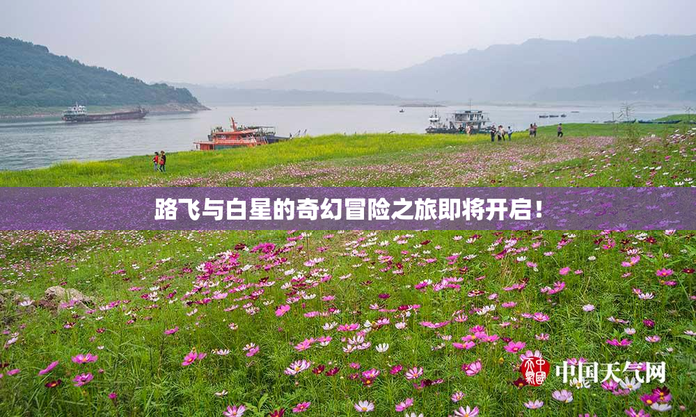 路飞与白星的奇幻冒险之旅即将开启！