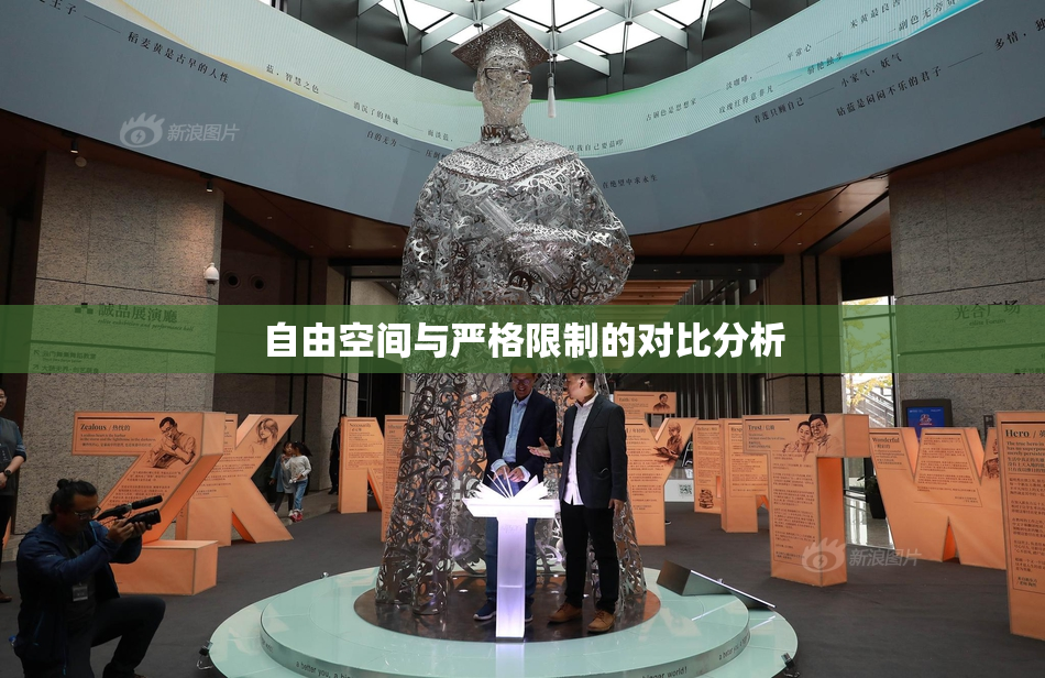 自由空间与严格限制的对比分析