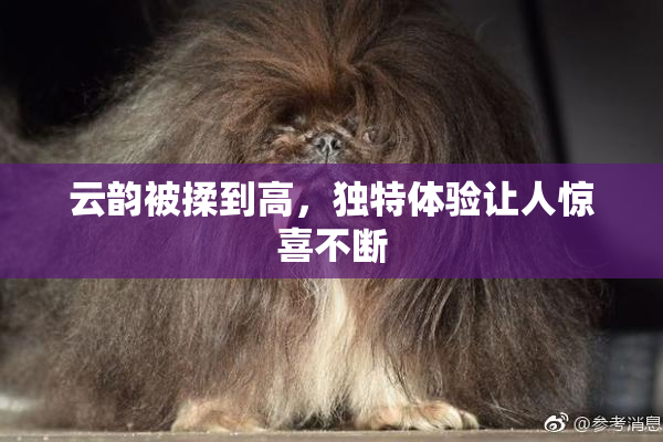 云韵被揉到高，独特体验让人惊喜不断