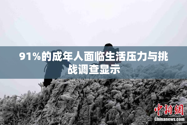 91%的成年人面临生活压力与挑战调查显示