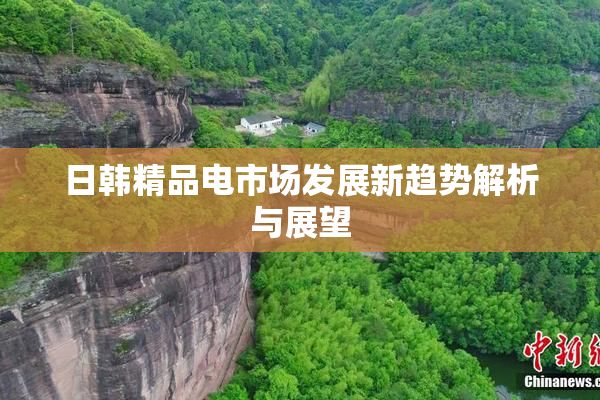 日韩精品电市场发展新趋势解析与展望