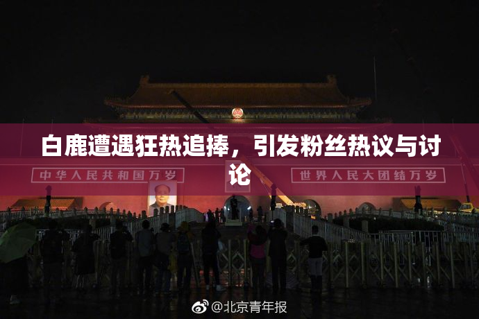 白鹿遭遇狂热追捧，引发粉丝热议与讨论