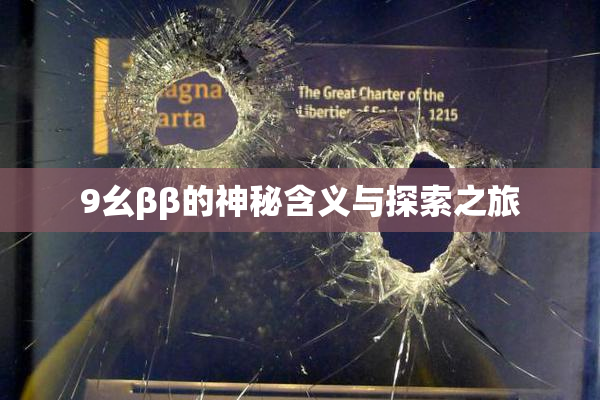 9幺ββ的神秘含义与探索之旅