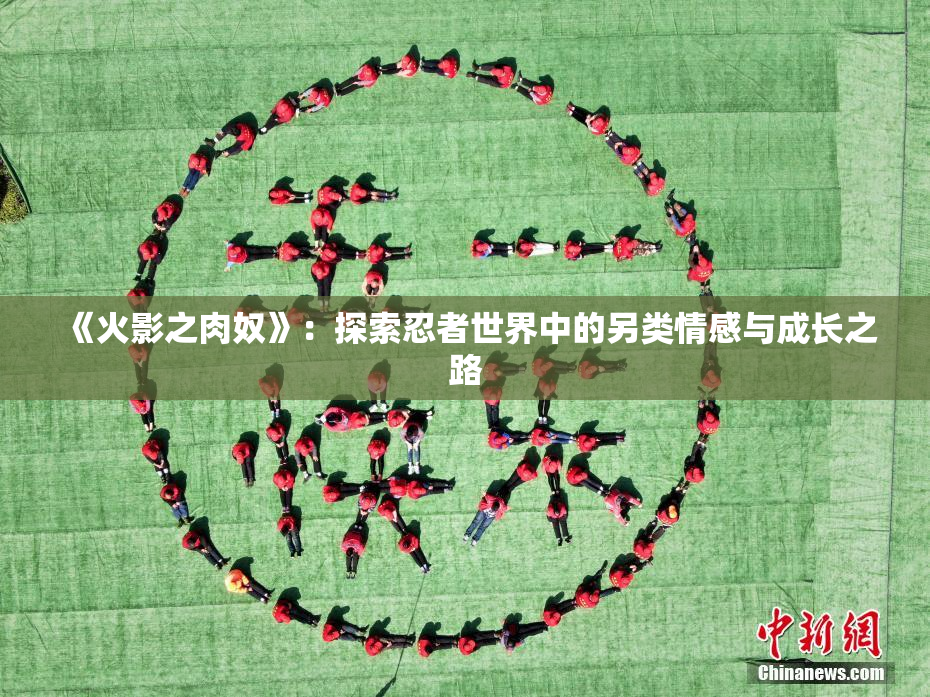 《火影之肉奴》：探索忍者世界中的另类情感与成长之路