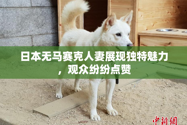 日本无马赛克人妻展现独特魅力，观众纷纷点赞