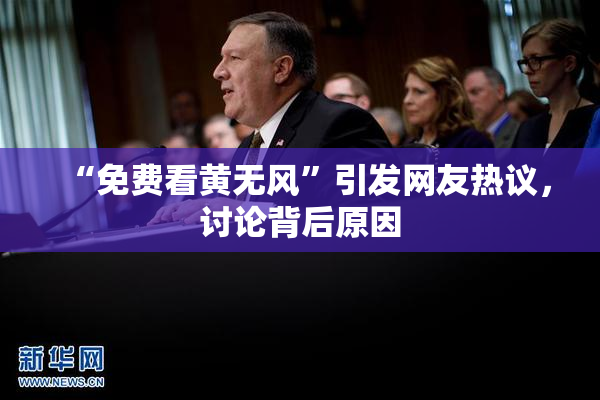 “免费看黄无风”引发网友热议，讨论背后原因