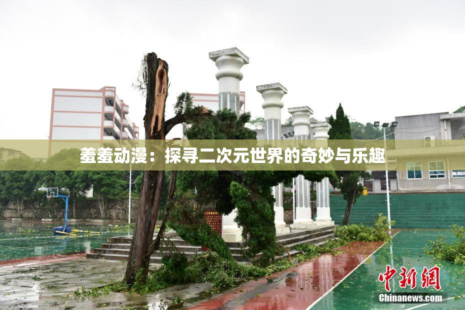 羞羞动漫：探寻二次元世界的奇妙与乐趣