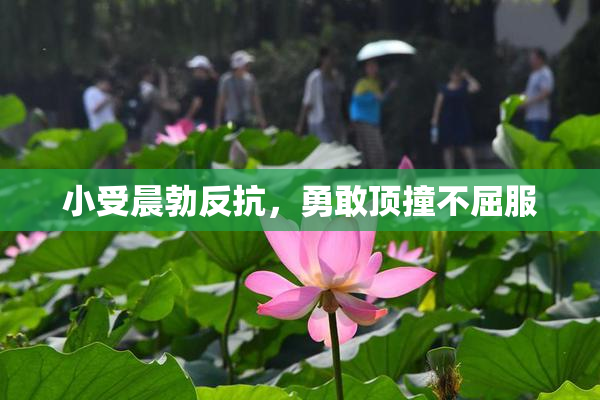小受晨勃反抗，勇敢顶撞不屈服