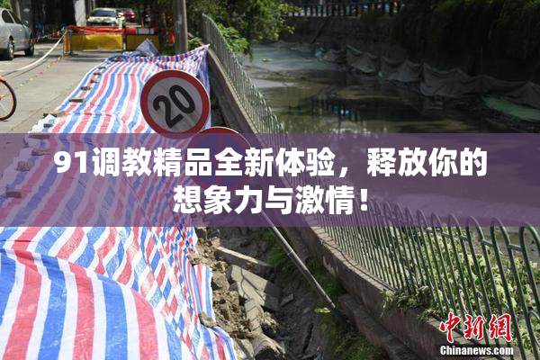91调教精品全新体验，释放你的想象力与激情！