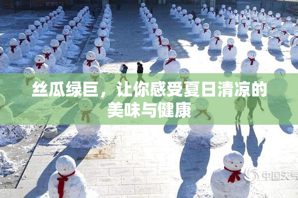 丝瓜绿巨，让你感受夏日清凉的美味与健康