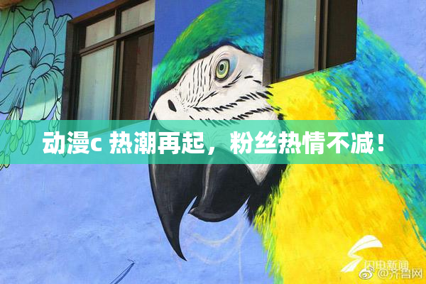 动漫c 热潮再起，粉丝热情不减！
