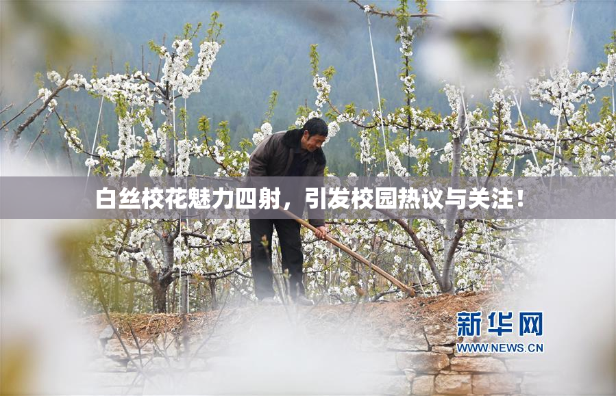 白丝校花魅力四射，引发校园热议与关注！