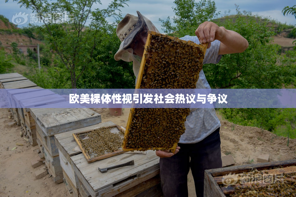 欧美裸体性视引发社会热议与争议