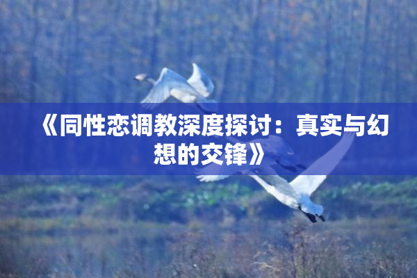《同性恋调教深度探讨：真实与幻想的交锋》