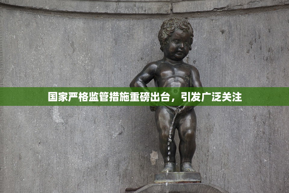 国家严格监管措施重磅出台，引发广泛关注