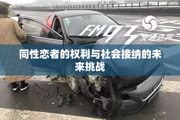 同性恋者的权利与社会接纳的未来挑战
