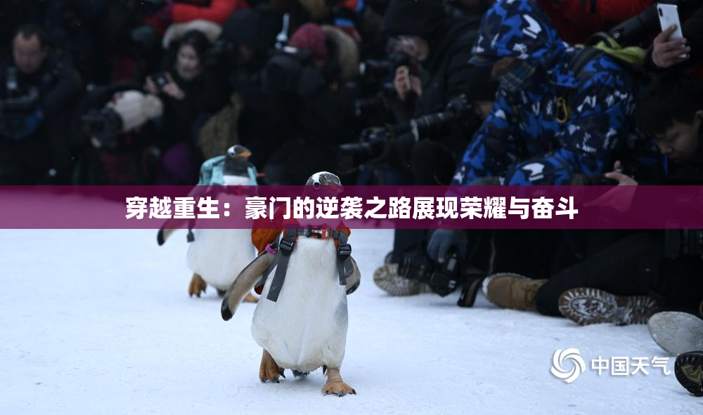 穿越重生：豪门的逆袭之路展现荣耀与奋斗