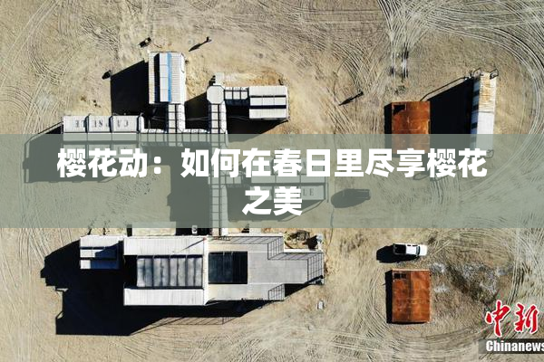 樱花动：如何在春日里尽享樱花之美