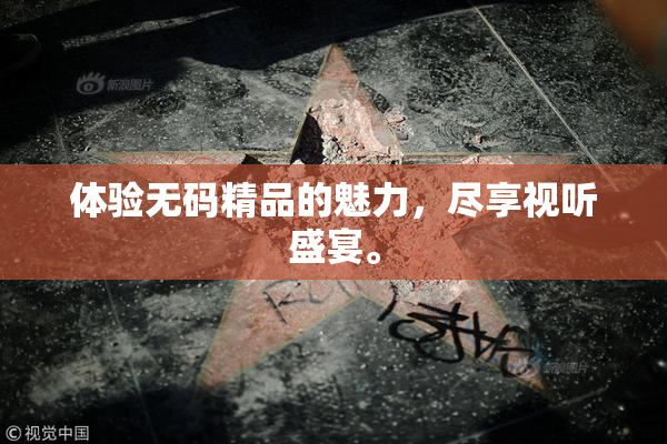 体验无码精品的魅力，尽享视听盛宴。