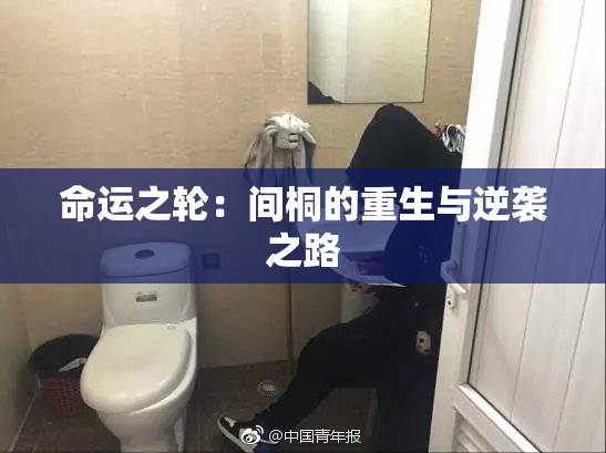 命运之轮：间桐的重生与逆袭之路