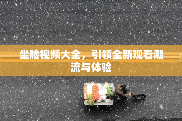坐脸视频大全，引领全新观看潮流与体验