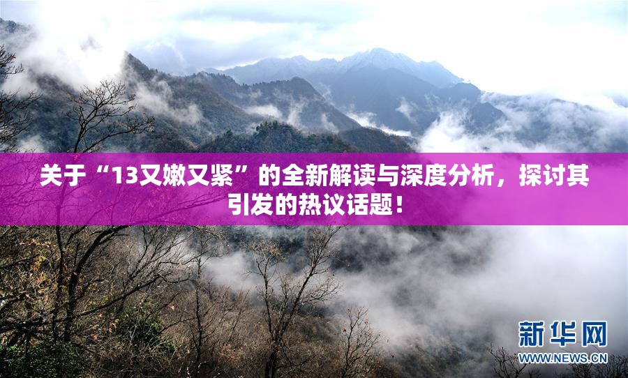 关于“13又嫩又紧”的全新解读与深度分析，探讨其引发的热议话题！